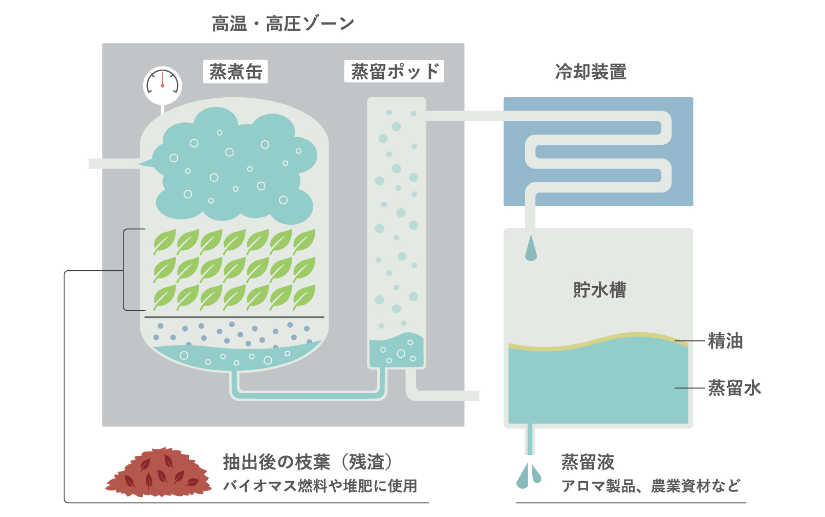 樹液抽出について