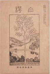 文芸誌白樺創刊号