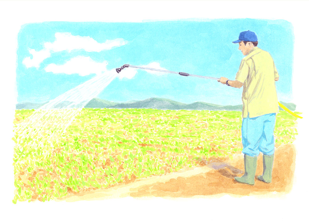 国産スギが循環する未来