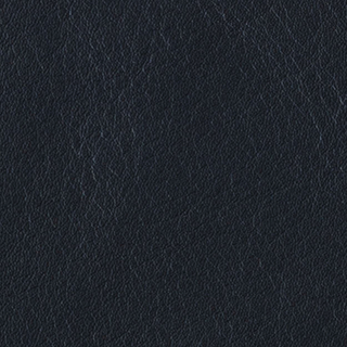 SN08(exclusive fabric)<