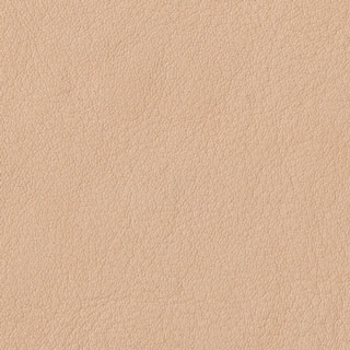 GN801(exclusive fabric)<